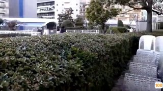 亚洲国产精品啊